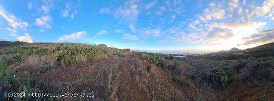 Se vende estupenda finca rústica en San Miguel de bona - SANTA CRUZ DE TENERIFE