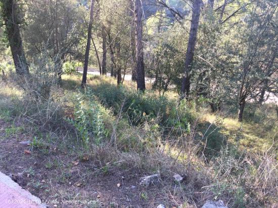 TERRENO URBANIZABLE EN  EL TAIO  posibilidad de 2 Viviendas - BARCELONA