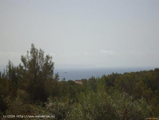 FINCA  EN VENTA EN GÉNOVA - BALEARES