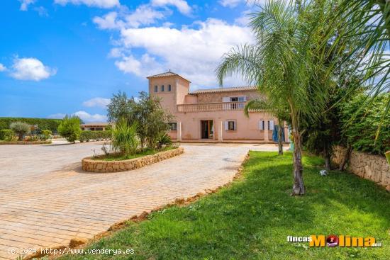 Espectacular villa con piscina cerca de Palma. Mallorca - BALEARES