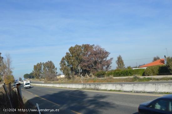 Fantastico suelo industria a pie de autovia¡¡ - SEVILLA