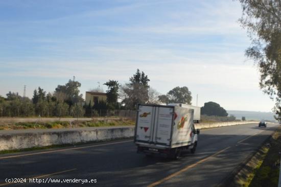 Fantastico suelo industria a pie de autovia¡¡ - SEVILLA