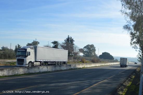 Fantastico suelo industria a pie de autovia¡¡ - SEVILLA