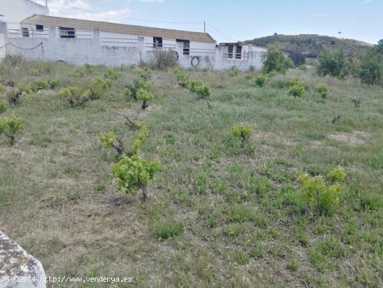 se vende Finca en la zona de entrerrios MIJAS COSTA - MALAGA