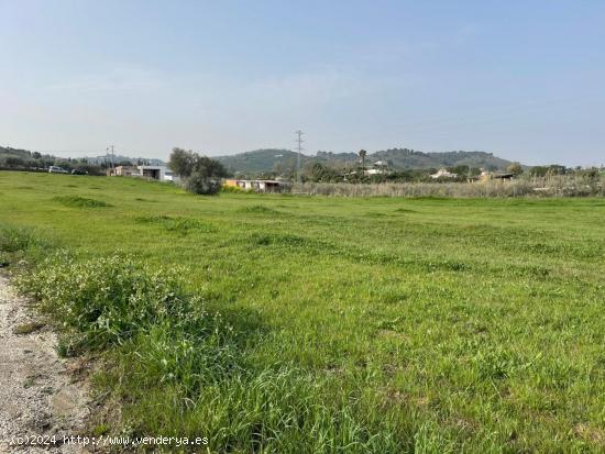 se vende parcela rustica en alhaurin el grande - MALAGA