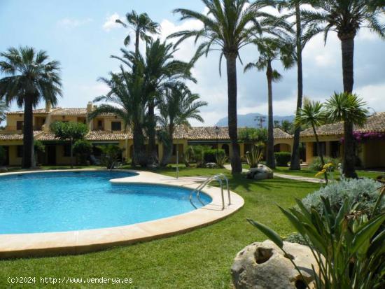 BAJO CON ENCANTO EN URBANIZACIÓN BONITA - ALICANTE