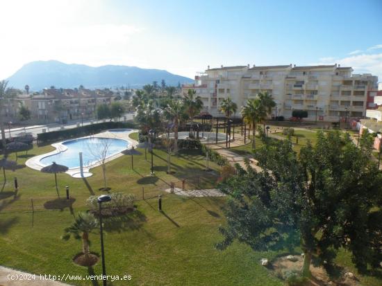 PARATAMENTO DE VERANO EN URBANIZACION CERCA DE LA PLAYA - ALICANTE