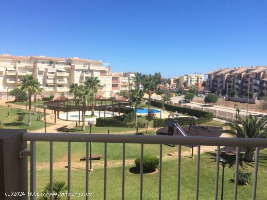 PARATAMENTO DE VERANO EN URBANIZACION CERCA DE LA PLAYA - ALICANTE