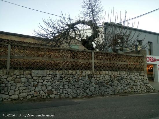  GRAN PARCELA EN LA ENTRADA DE ORBA - ALICANTE 