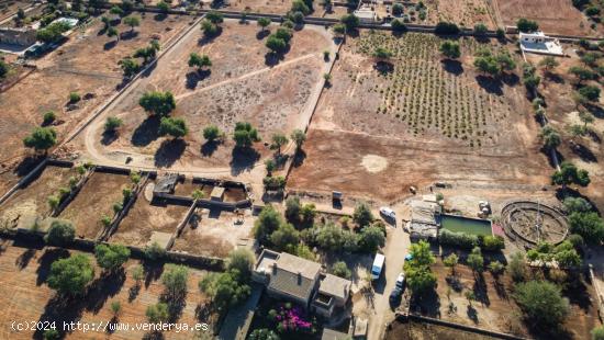 Llucmajor Zona Cugulutx. Finca Rústica con casa principal, caballerizas e hipódromo. - BALEARES