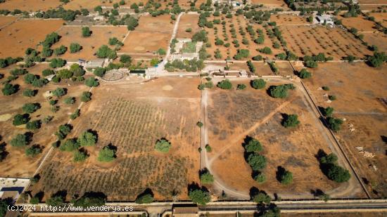 Llucmajor Zona Cugulutx. Finca Rústica con casa principal, caballerizas e hipódromo. - BALEARES