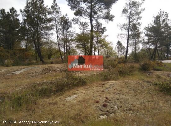 SE VENDE FINCA RUSTICA ZONA DE CASTELO - LUGO