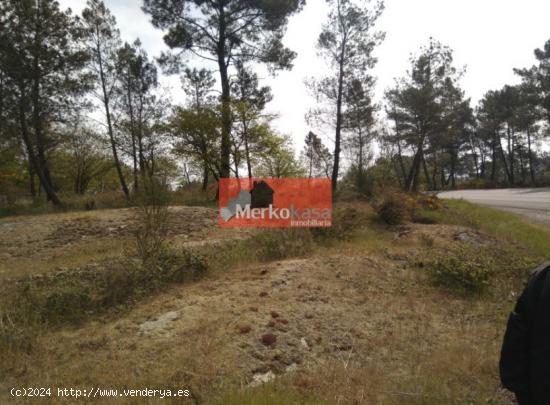 SE VENDE FINCA RUSTICA ZONA DE CASTELO - LUGO