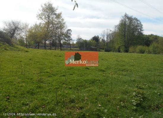  SE VENDE FINCA RUSTICA CERCA DE LA CARRETERA SANTIAGO - LUGO 