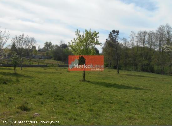 SE VENDE FINCA RUSTICA CERCA DE LA CARRETERA SANTIAGO - LUGO