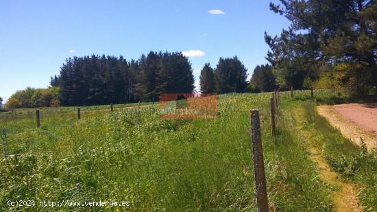 SE VENDE FINCA CERRADA CERCA DE NADELA-ZONA CORVELLE - LUGO