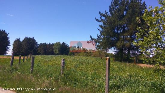 SE VENDE FINCA CERRADA CERCA DE NADELA-ZONA CORVELLE - LUGO