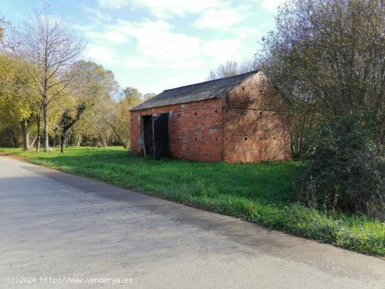 SE VENDE TERRENO CON ARBOLEDA Y UNA PEQUEÑA EDIFICACIÓN EN CASTRO DE REI - LUGO