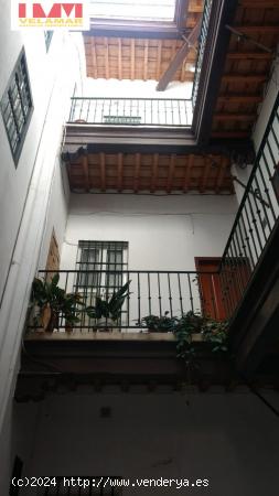  DUPLEX ZONA MERCADO-PLAZA LAS FLORES - CADIZ 