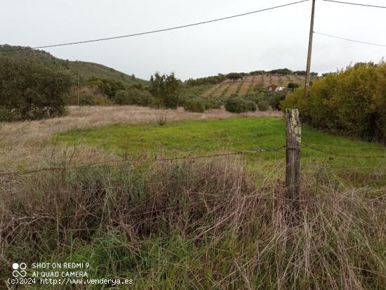 PARCELA RUSTICA EN LA CODOSERA - BADAJOZ