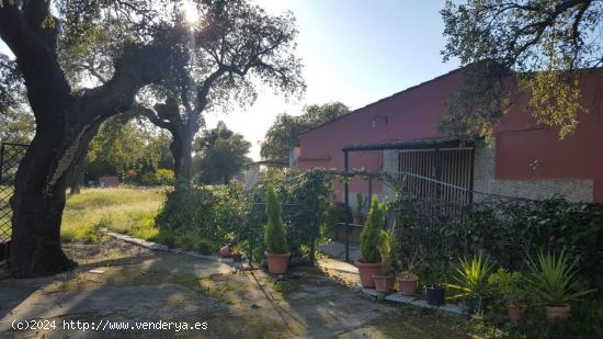 PARCELA EL MANANTÍO - BADAJOZ