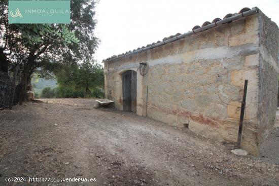 FINCA RÚSTICA EN TERMINO DE MANCOR DE LA VALL DE 42500 M2 CON CASETA DE 50 M2 EN ZONA ANEI - BALEAR