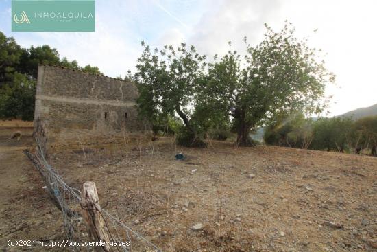 FINCA RÚSTICA EN TERMINO DE MANCOR DE LA VALL DE 42500 M2 CON CASETA DE 50 M2 EN ZONA ANEI - BALEAR