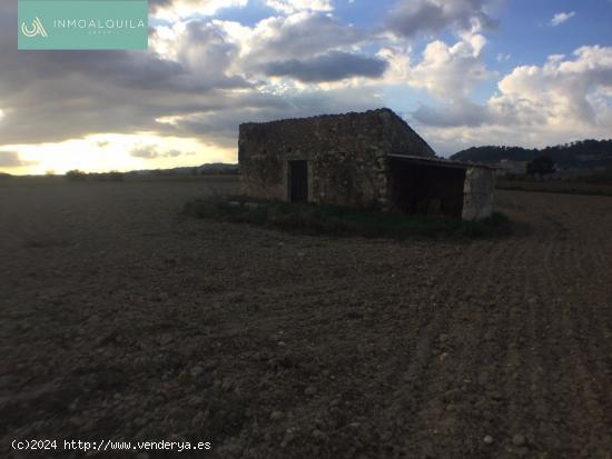 FINCA RÚSTICA EDIFICABLE EN SINEU.18.000 M2 CON CASA 35 M2 A REFORMAR. POZO DE AGUA DE VENA.170.000