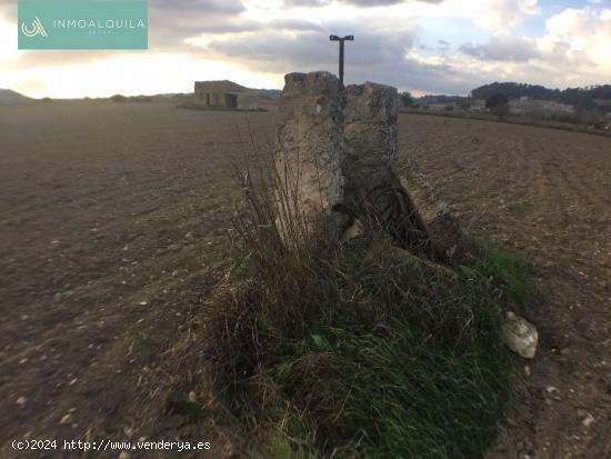 FINCA RÚSTICA EDIFICABLE EN SINEU.18.000 M2 CON CASA 35 M2 A REFORMAR. POZO DE AGUA DE VENA.170.000