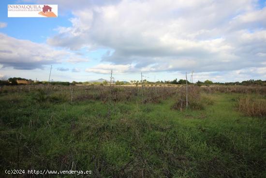 Finca rustica con muchas posibilidades - BALEARES