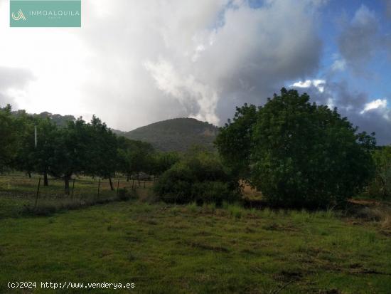  TERRENO RÚSTICO EN LLOSETA - BALEARES 