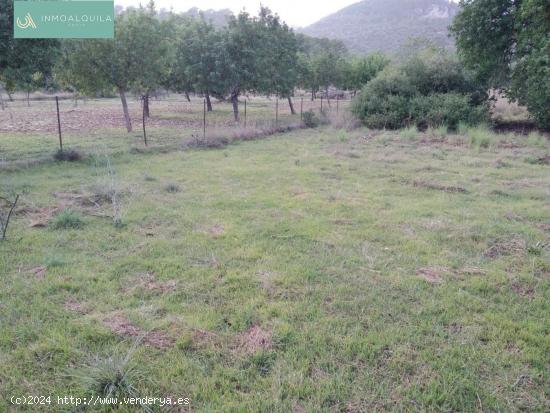 TERRENO RÚSTICO EN LLOSETA - BALEARES