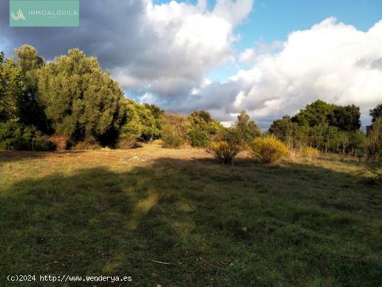 TERRENO R´´USTICO EN LLOSETA - BALEARES