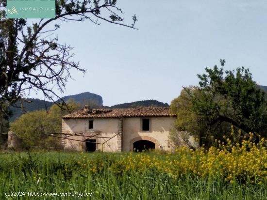 FINCA RÚSTICA EN BINISSALEM - BALEARES