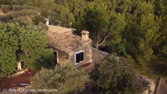 FINCA RÚSTICA EN MANCOR DE LA VALL - BALEARES