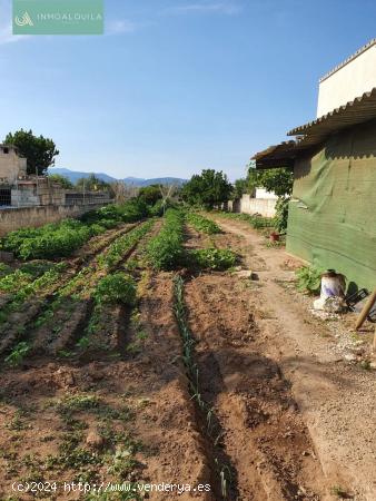 solar con caseta en Terreno Urbano - BALEARES