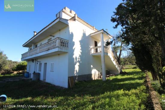 Finca Rustica en Llubí - BALEARES