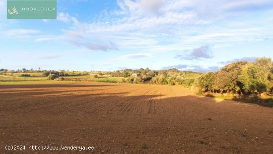 Finca edificable - BALEARES