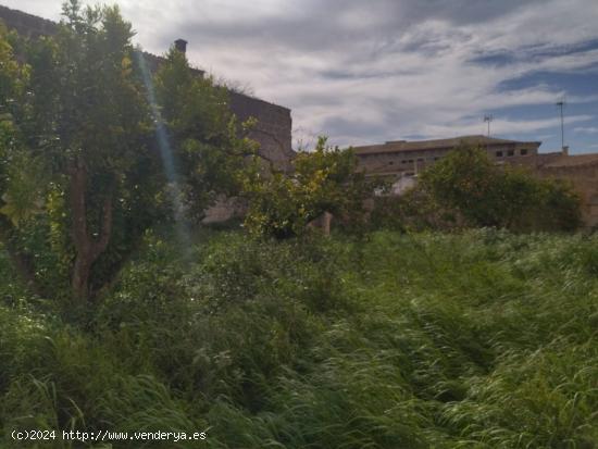 Solar a la venta en Santa Margarita - BALEARES