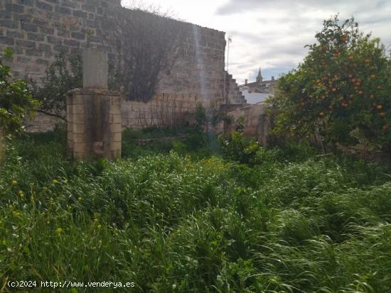 Solar a la venta en Santa Margarita - BALEARES