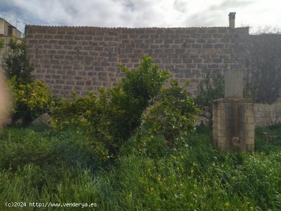 Solar a la venta en Santa Margarita - BALEARES