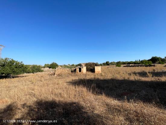 Finca rustica legal en Santa Margalida - BALEARES