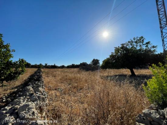 Finca rustica legal en Santa Margalida - BALEARES