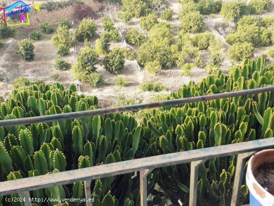 CASA DE PUEBLO  PARA REFORMAR CON VISTAS AL VALLE DE RICOTE - MURCIA