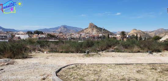 SOLAR EN VENTA DE 1403 M2 A 115€ M2 EN ARCHENA - MURCIA