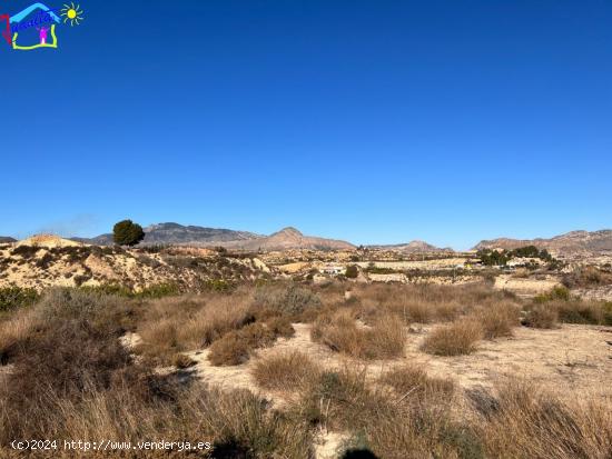  TERRENO RUSTICO PARAJE CAÑADA DEL BOTICARIO - MURCIA 