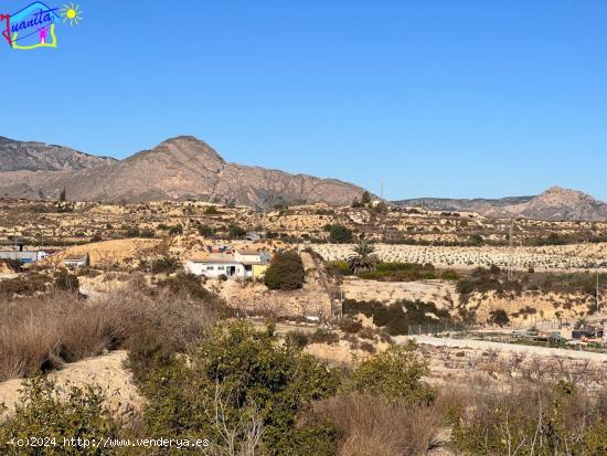 TERRENO RUSTICO PARAJE CAÑADA DEL BOTICARIO - MURCIA