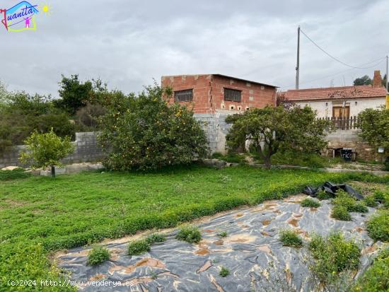 PARCELA DE TERRENO DE RECREO CON - MURCIA