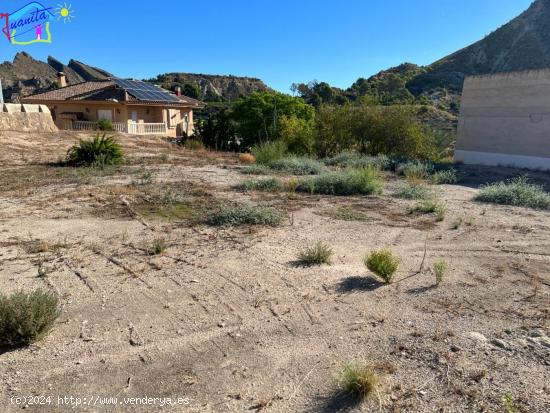 PARCELA DE TERRENO URBANO EN TERMINO MUNICIPAL DE ARCHENA / VILLANUEVA DEL RIO SEGURA - MURCIA