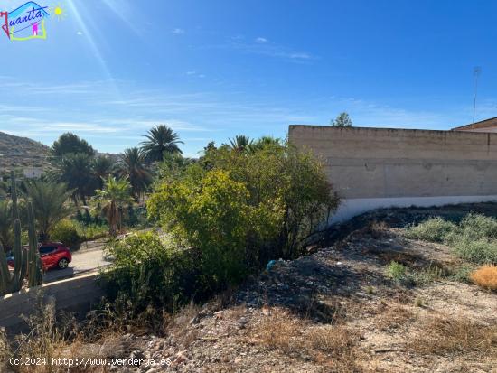 PARCELA DE TERRENO URBANO EN TERMINO MUNICIPAL DE ARCHENA / VILLANUEVA DEL RIO SEGURA - MURCIA